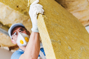 Animal Damage Repair Indianapolis Indiana