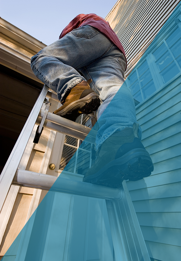 Nuisance Animal Removal Indianapolis IN Nuisance Animal Removal Indianapolis IN