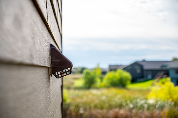 Residential Wildlife Removal
Indianapolis