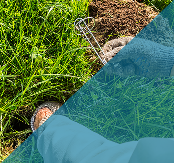 Get Rid of Yard Moles Indianapolis Get Rid of Yard Moles Indianapolis