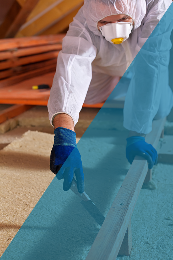 Wildlife Infestation Cleanup Indianapolis