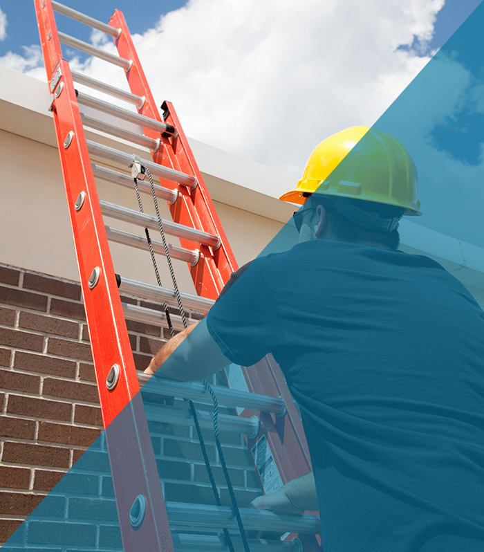 Wildlife Removal Service in Indianapolis Wildlife Removal Service in Indianapolis